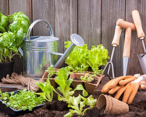 Gardening